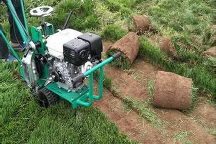 梦见铲草皮是怎么回事？