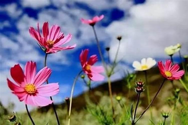 婴灵超度的时间