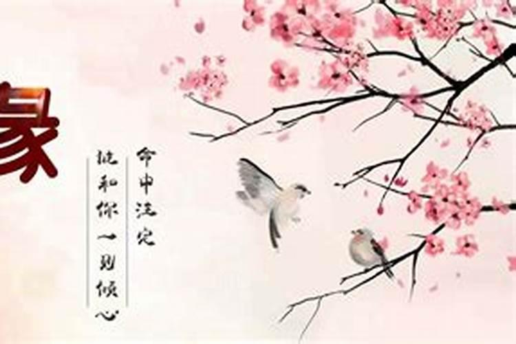 命中注定姻缘配对