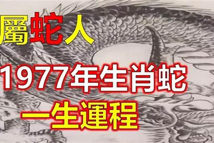 1977生肖蛇那几年犯太岁？