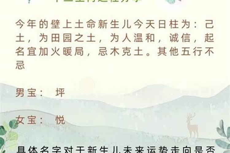 十一月十二出生一生的运势