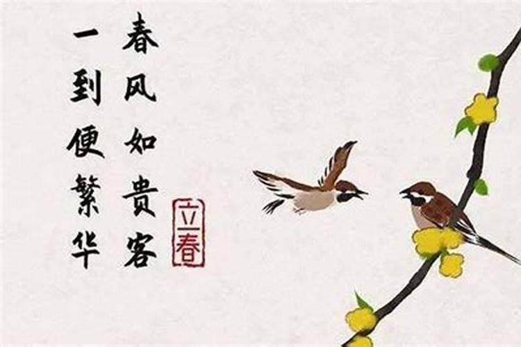 立春运势分析报告