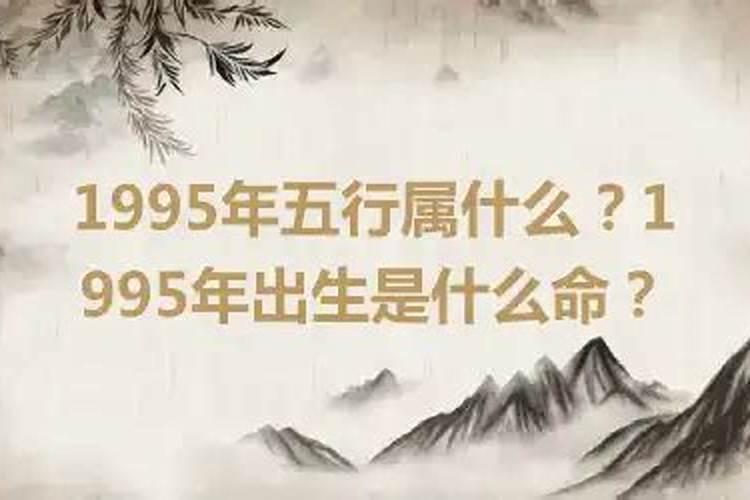 1995年出生运程六年