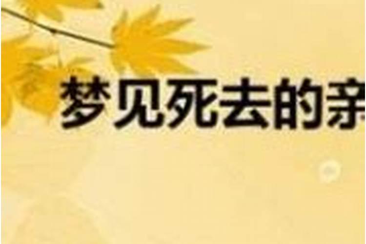 连续几天梦见死去多年的朋友？