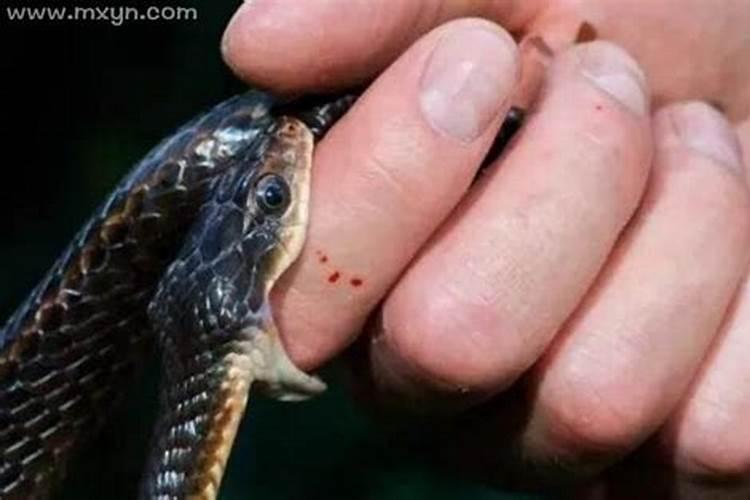 梦见蛇咬自己的手出血好不好？