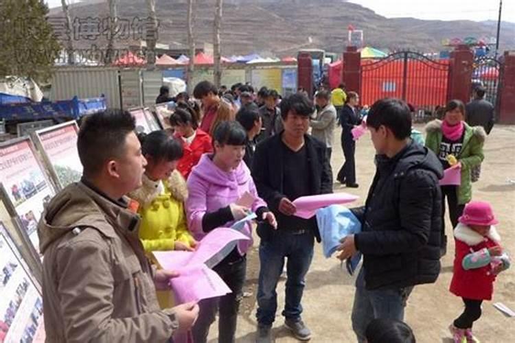 岷县二月二在哪个村？