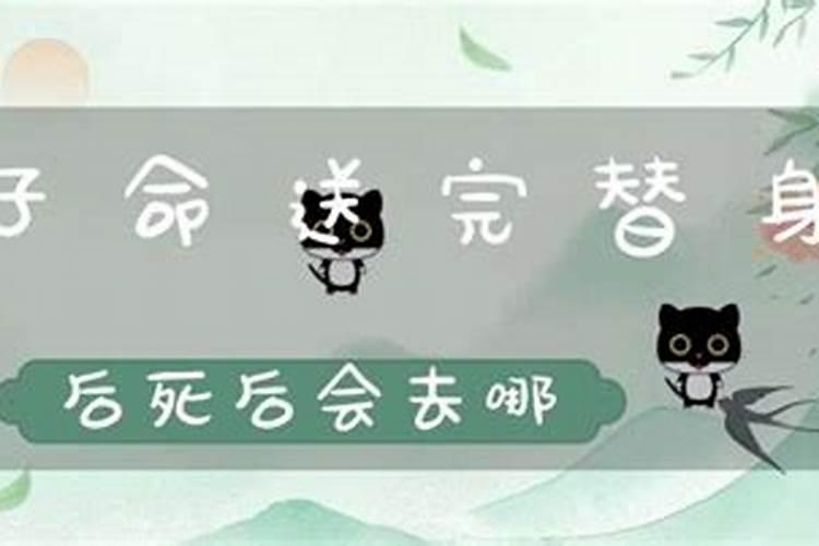 童子命的人去世以后会去哪？