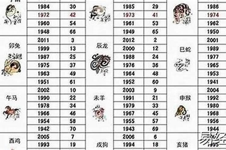 各属相2月运势如何？
