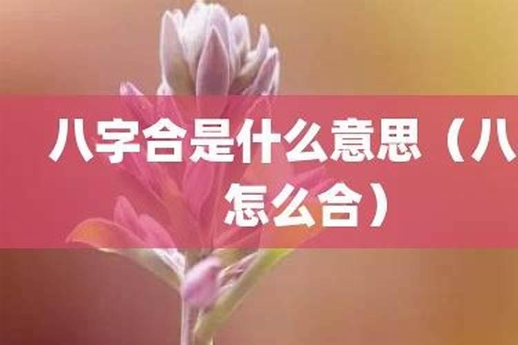 两个人八字合是什么意思？