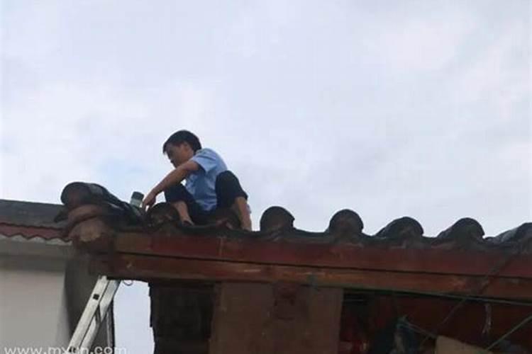 梦见水龙是什么意思？