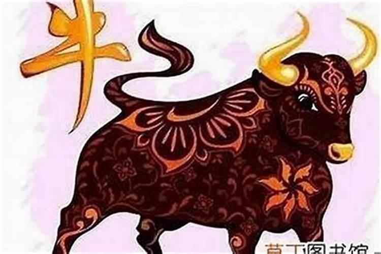 为何属牛的本命年非常好？