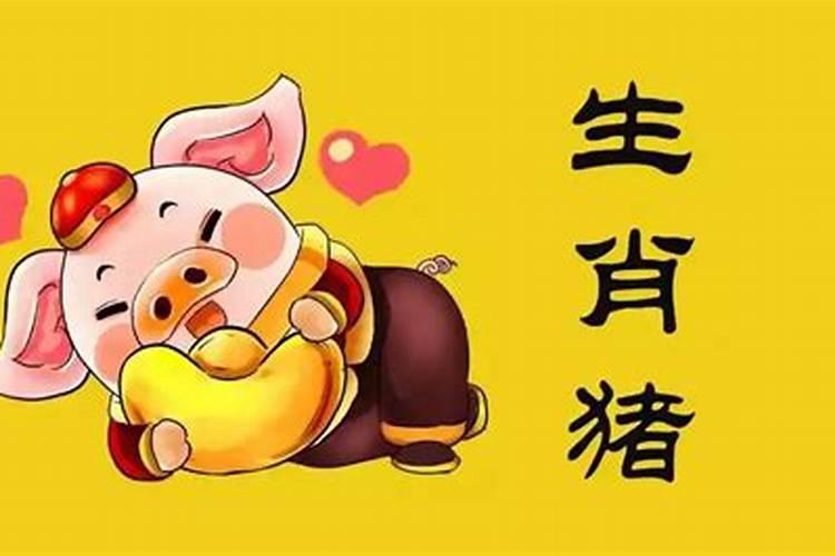 属猪能和什么属相婚配？