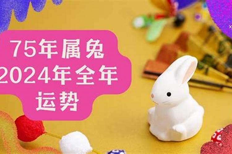 兔75今年运势2026年