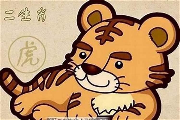 属虎的最佳情人属相