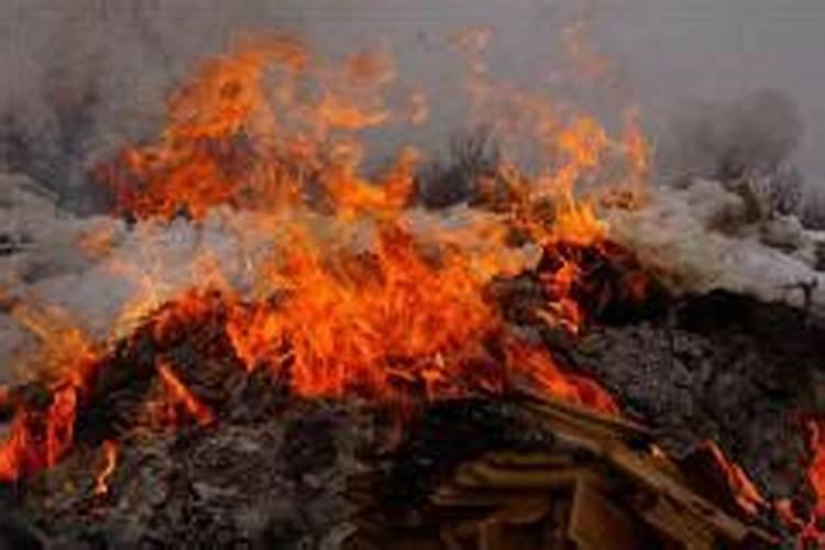 梦见上坟着火了是什么征兆？