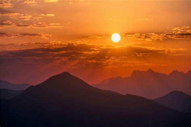 属虎虎2026年运势