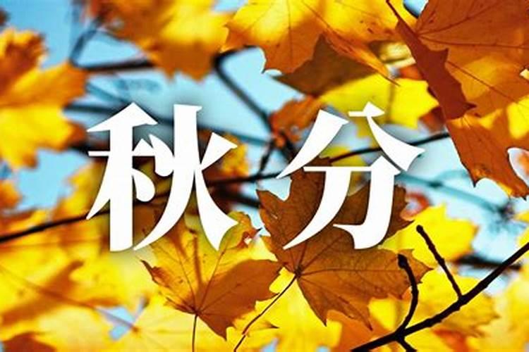 秋分出生怎样？