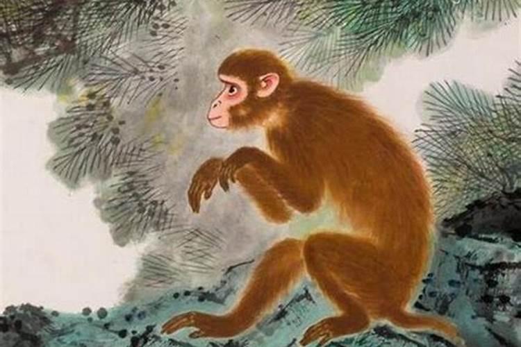 属猴的人犯太岁流年