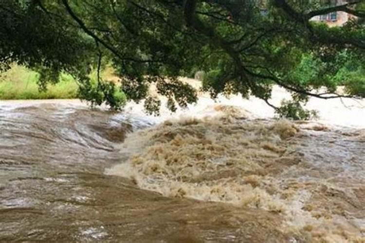 梦见发大水了预示什么预兆？