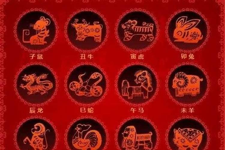 2026年运势十二生肖