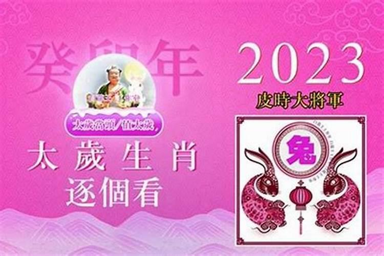 75年出生的运势如何？