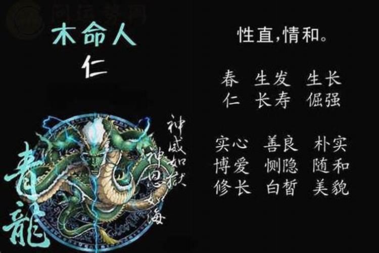 木命人适合做什么生意？