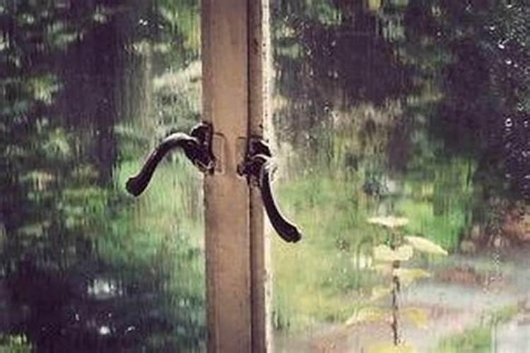 梦到下雨屋里漏雨是什么意思？