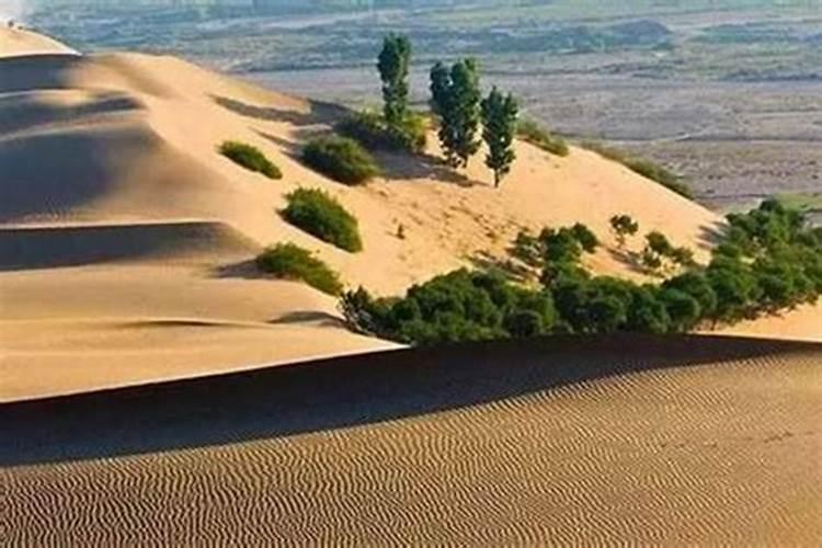 天上火命跟沙中土合婚吗？