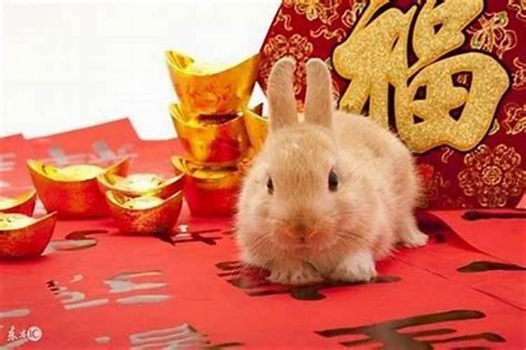 75生肖兔女感情婚姻2026年的运程