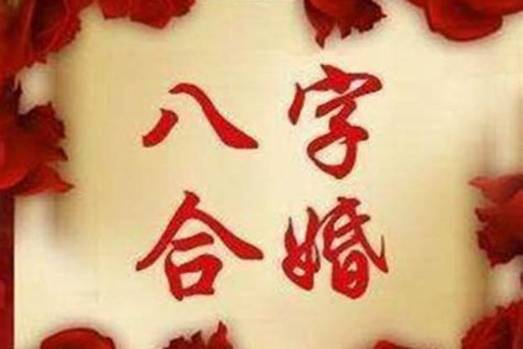 八字不合在一起会怎样？