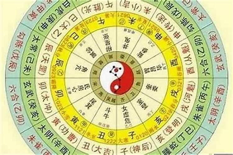 生辰八字的是什么动物？