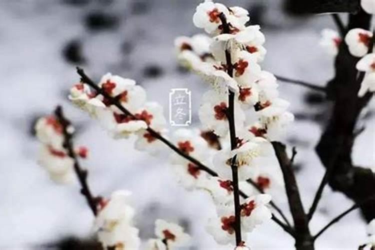 我国有立冬补冬的习俗