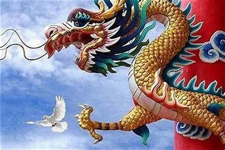 龙和龙八字合吗？