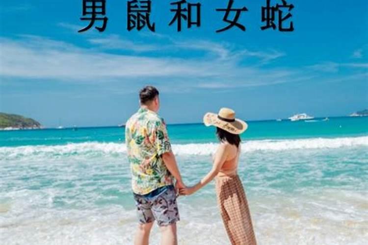 男鼠跟女蛇合婚吗？