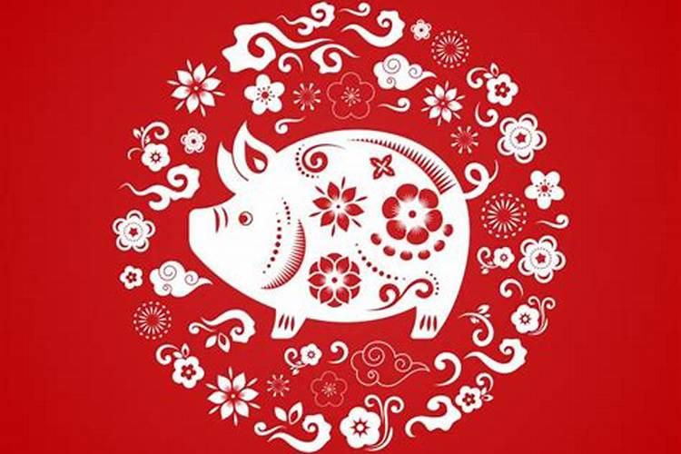 属猪的的今年运势