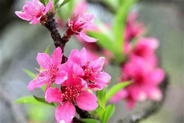 招姻缘的最好方法