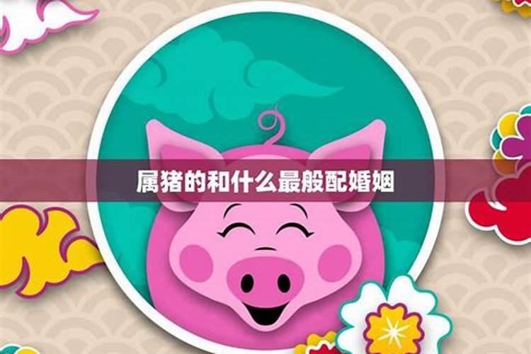 属猪的和什么生肖最合适？