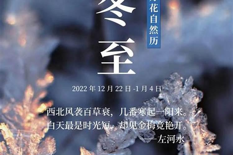 冬至这一天出生的人正气