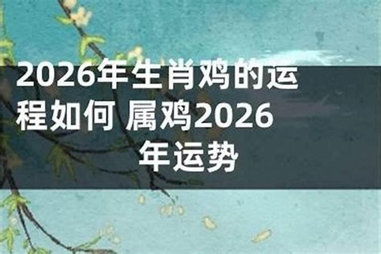 1981年属鸡人2026年运势