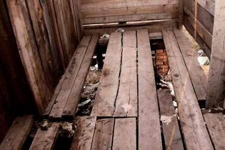 梦见茅厕坑内有大便