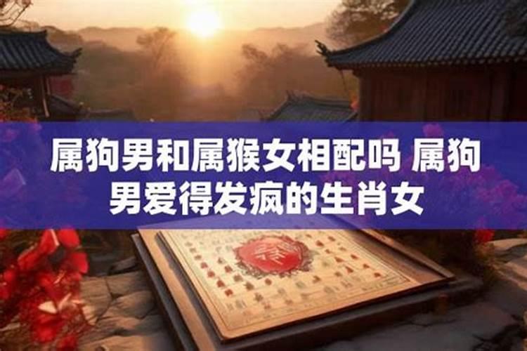 属狗的腊月几号搬家好呢？