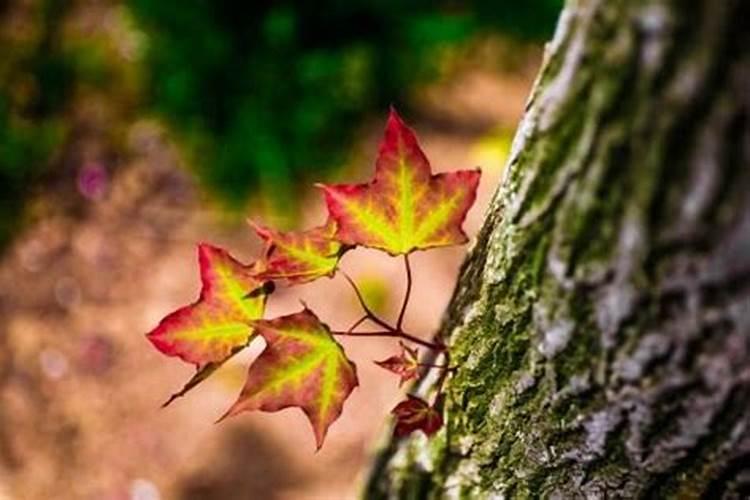 超度婴灵备孕有用吗？