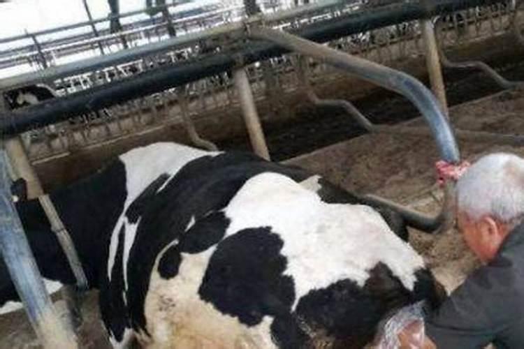 梦见拆牛棚什么意思？