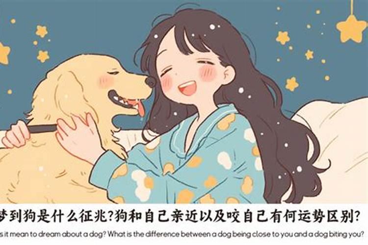 梦到狗狗身上有血是什么征兆女？