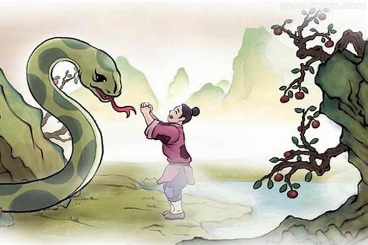 梦见蟒蛇追自己是什么意思呢？