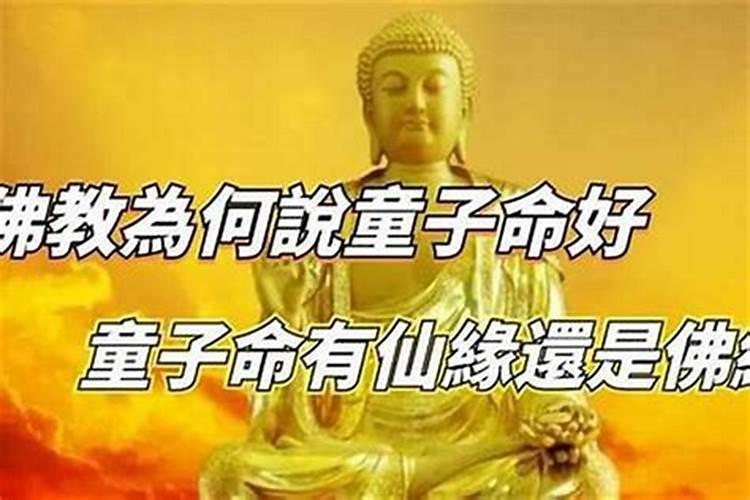 童子命的人拜佛怎样？