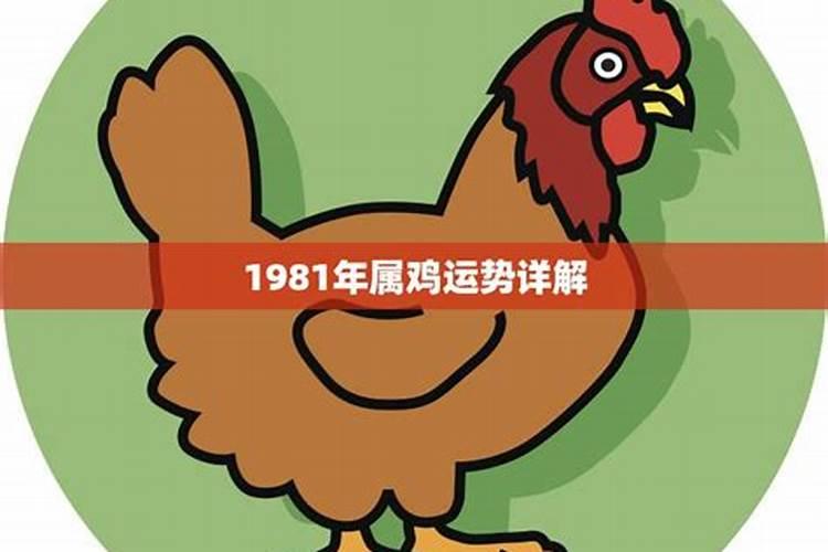 1981年属鸡人运势如何？