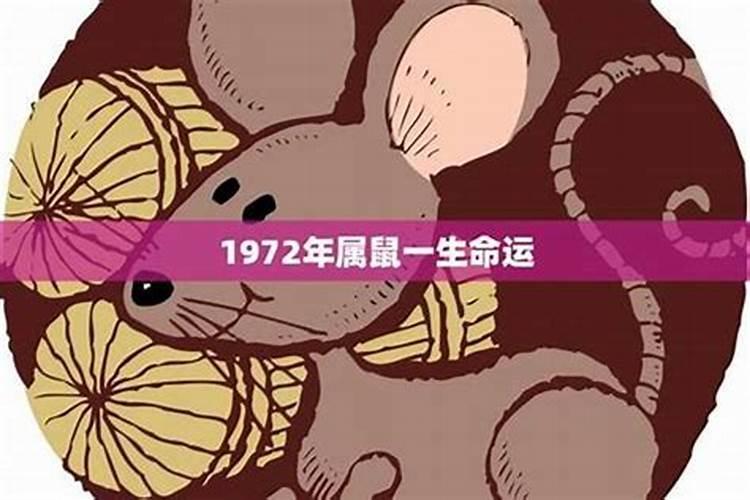 1972年鼠女2026年运程