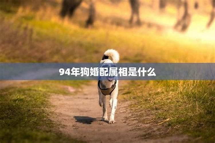 94年狗和什么属相最合婚？