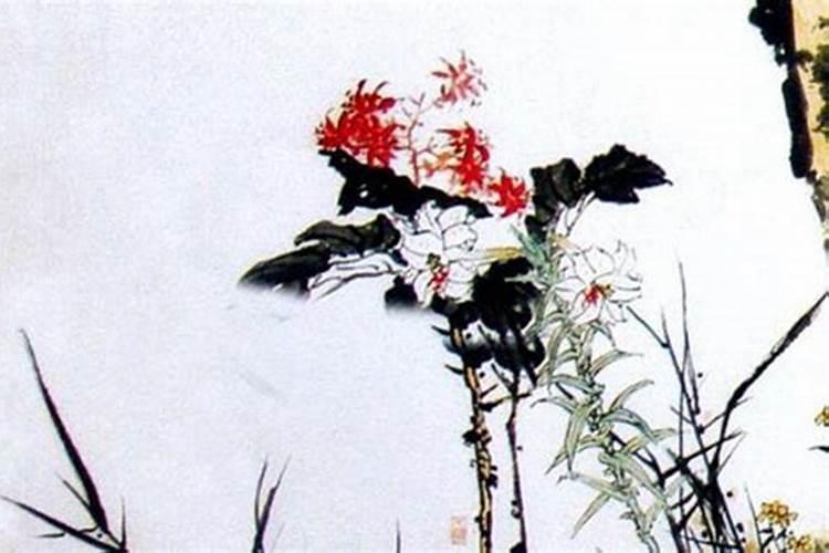 二月十四出生的运势